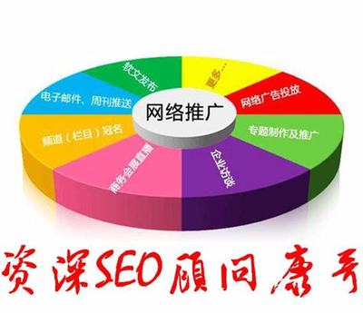 高縣SEO顧問(wèn)大揭秘 入門(mén)教程與2024年技術(shù)推廣服務(wù)更新